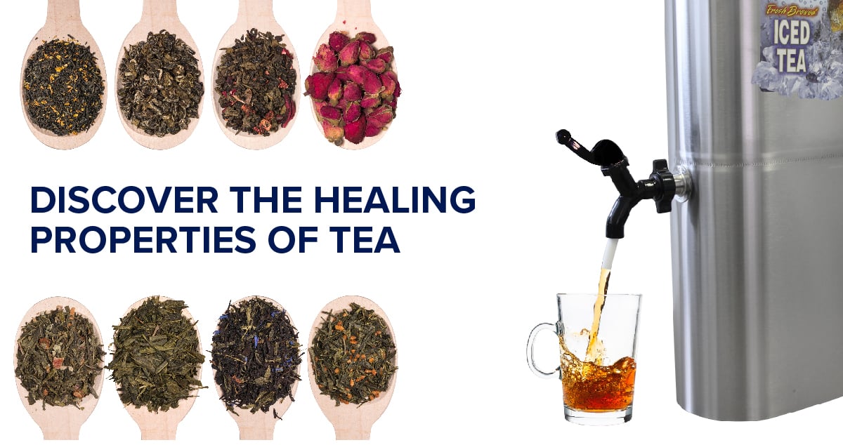Best Tea to Help Support Your Immune System